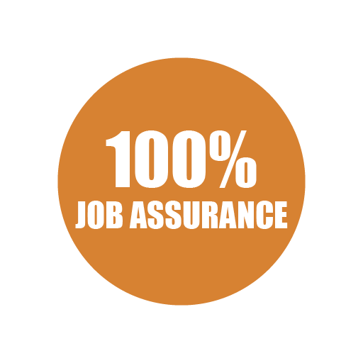 100% Job Assurance